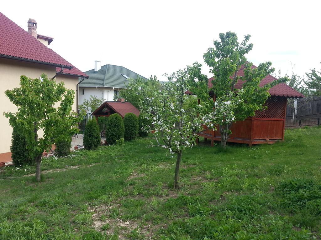 Pension Ambiance Iasi Extérieur photo