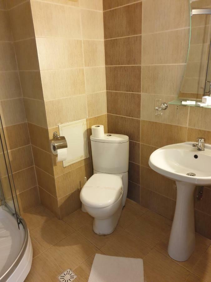 Pension Ambiance Iasi Extérieur photo
